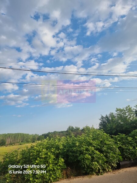 Se vinde teren 4200 mp in Teisori Giurgiu