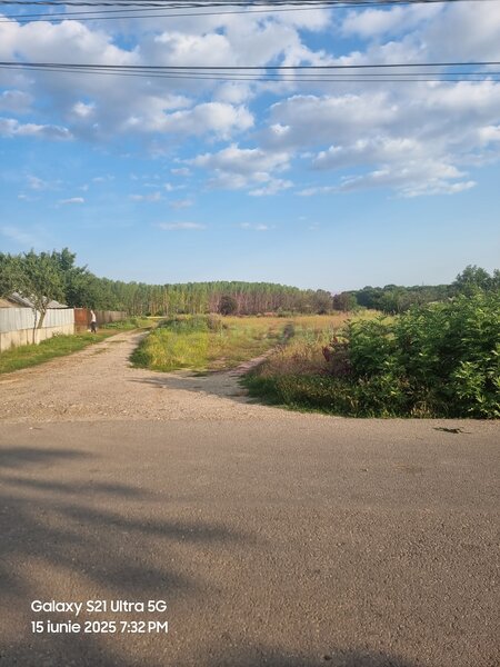 Se vinde teren 4200 mp in Teisori Giurgiu