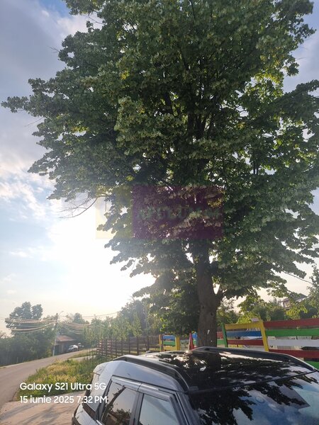Se vinde teren 4200 mp in Teisori Giurgiu