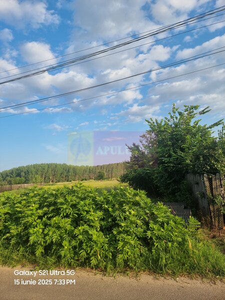 Se vinde teren 4200 mp in Teisori Giurgiu