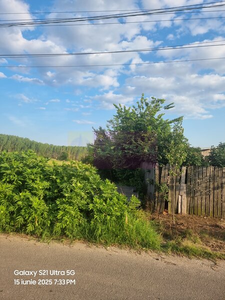 Se vinde teren 4200 mp in Teisori Giurgiu